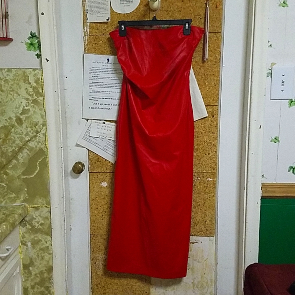Zara Faux Leather Strapless Dress, Size: Medium